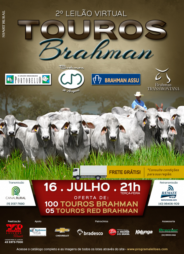 2° Leilão Virtual Touros Brahman