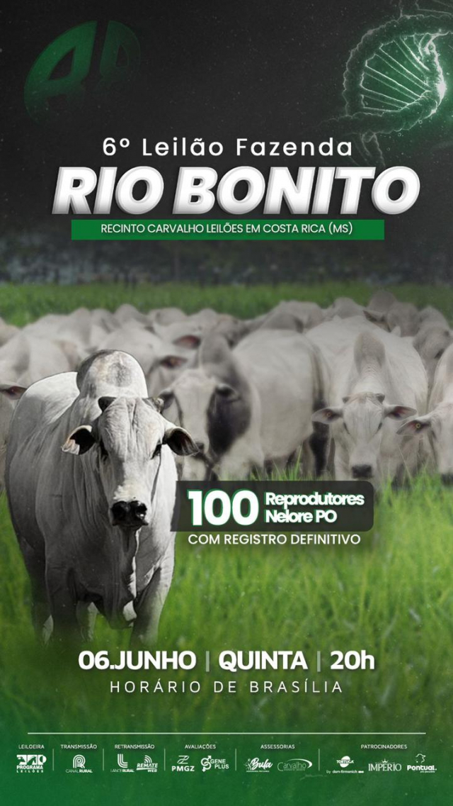 6° Leilão Fazenda Rio Bonito - Touros