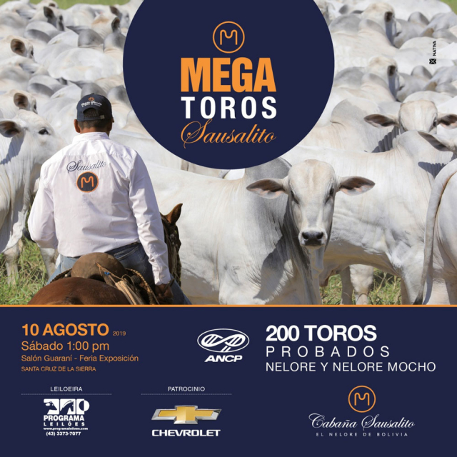 Mega Toros Sausalito 2019 - Santa Cruz de La Sierra