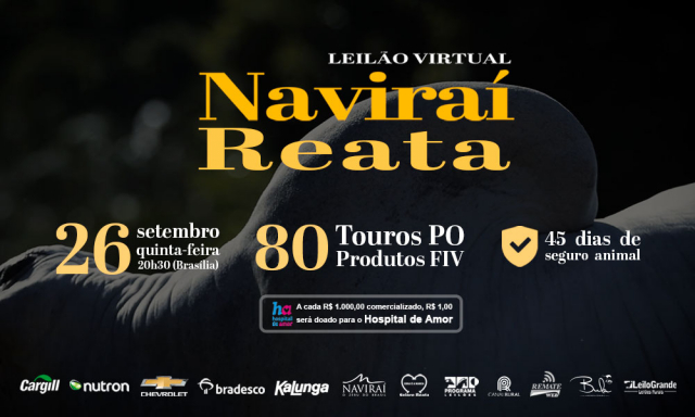 Leilão Virtual Navirai & Reata