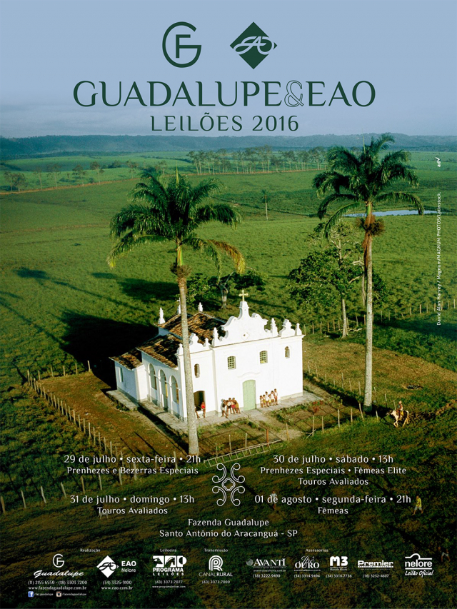 Guadalupe & EAO - Touros Avaliados