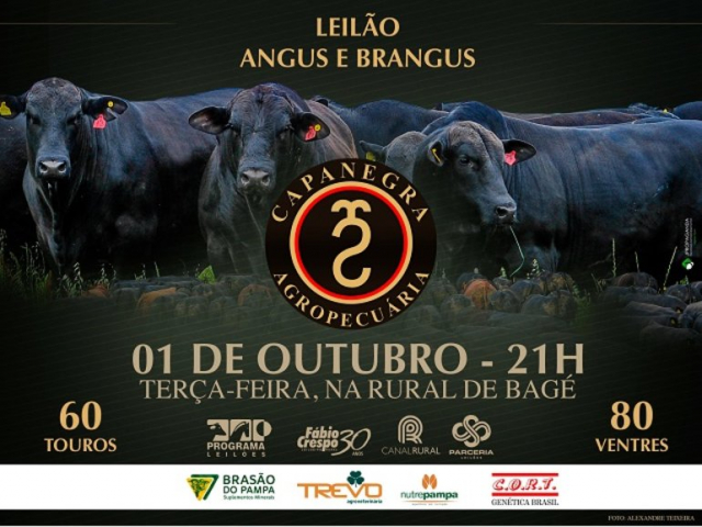 Leilão Capanegra Agropecuária - Angus e Brangus