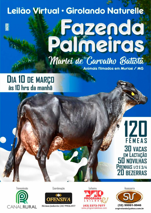 Leilão Virtual Girolando Naturelle - Fazenda Palmeiras