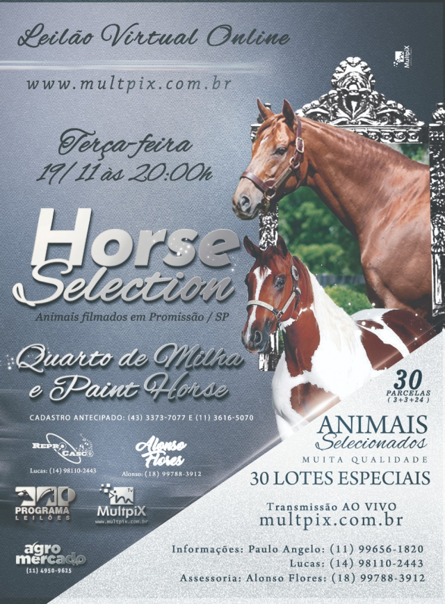 Virtual On Line - Horse Selection