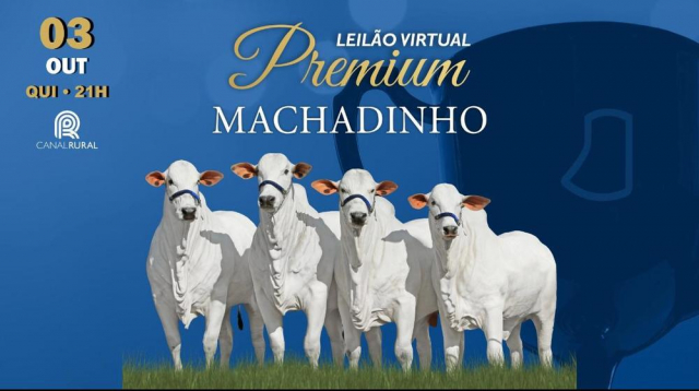 Leilão Virtual Premium Machadinho