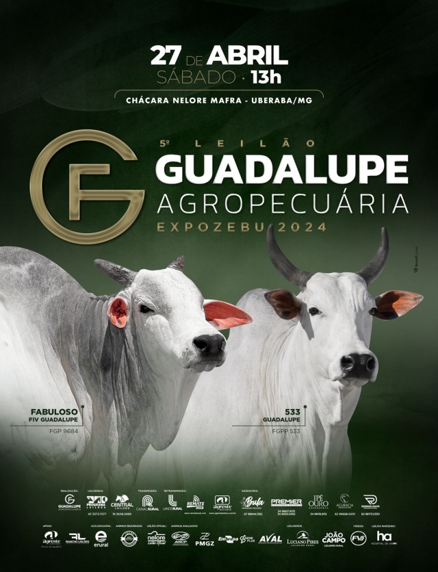 5º Leilão Guadalupe Agropecuária - Expozebu 2024