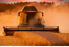 Linha de R$ 10 bilhões para compra de máquinas agrícolas entra em operação