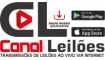 Canal Leilões