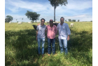 Fazenda Elo Dourado -  Leonardo Dias Maciel, Orlandinho e Leandro Galo