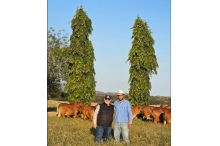 Paulo Horto e Matheus Francom - Fazenda Camparino