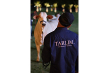 11º Leilão Tarlim – De Geração em Geração