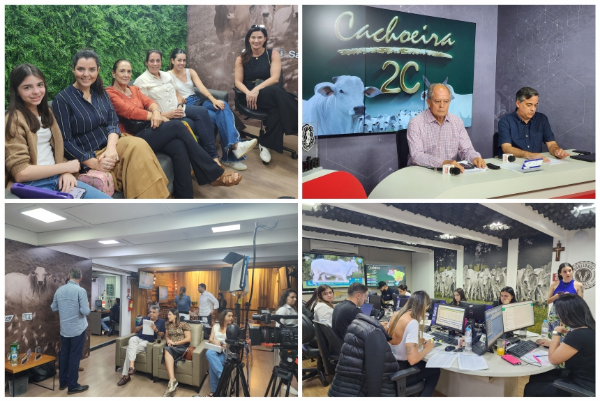 Cachoeira 2C: muita qualidade em oferta de reprodutores e matrizes ...