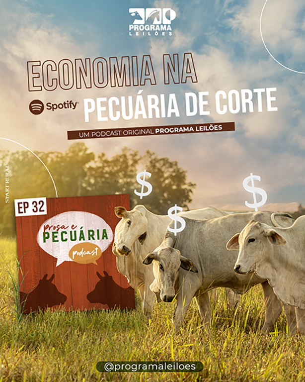 PROSA E PECUÁRIA: Economia na Pecuária de Corte