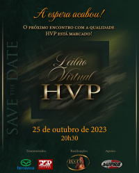 Imagem capa do leilão Leilão Virtual HVP