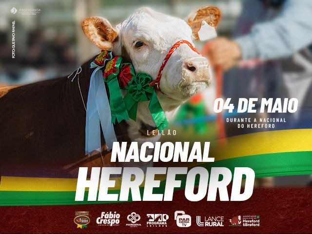 Leilão Nacional Hereford