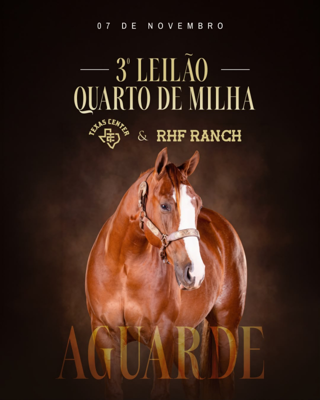 3º Leilão Quarto de Milha Texas Center & RHF Ranch