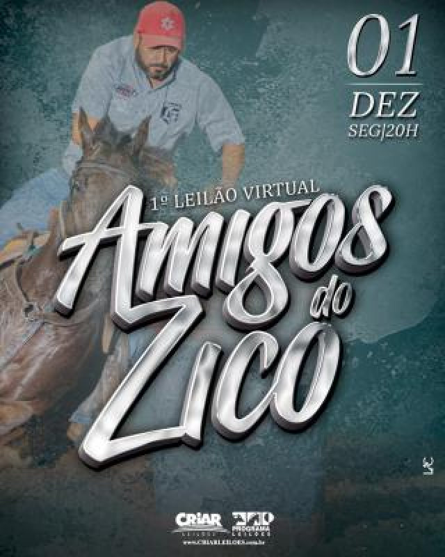 1º Leilão Virtual Amigos do Zico