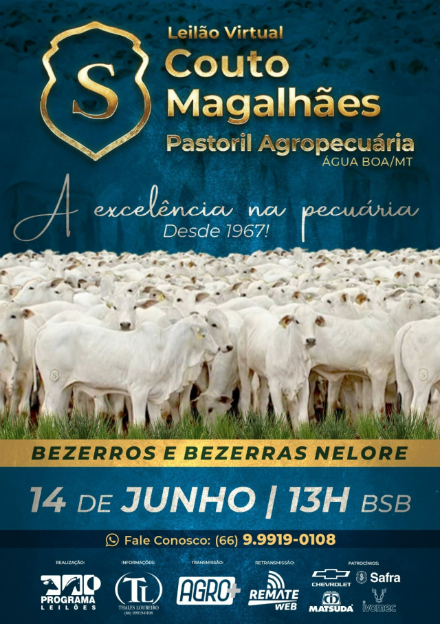 Leilão Virtual Couto Magalhães Pastoril Agropecuária