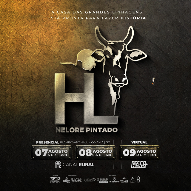 Leilão Nelore Pintado HL