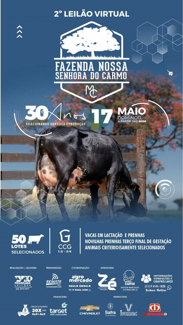 2º Leilão Virtual Fazenda Nossa Senhora do Carmo