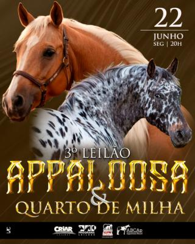 3° Leilão Appaloosa e Quarto de MIlha