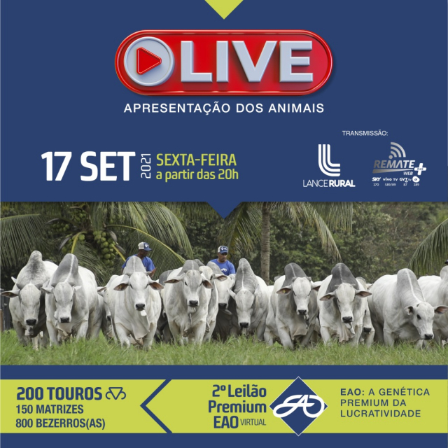 LIVE | 2° Leilão Premium EAO Virtual