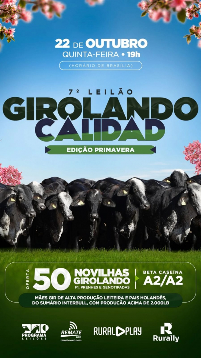 7º Leilão Girolando Calidad - Edição Primavera