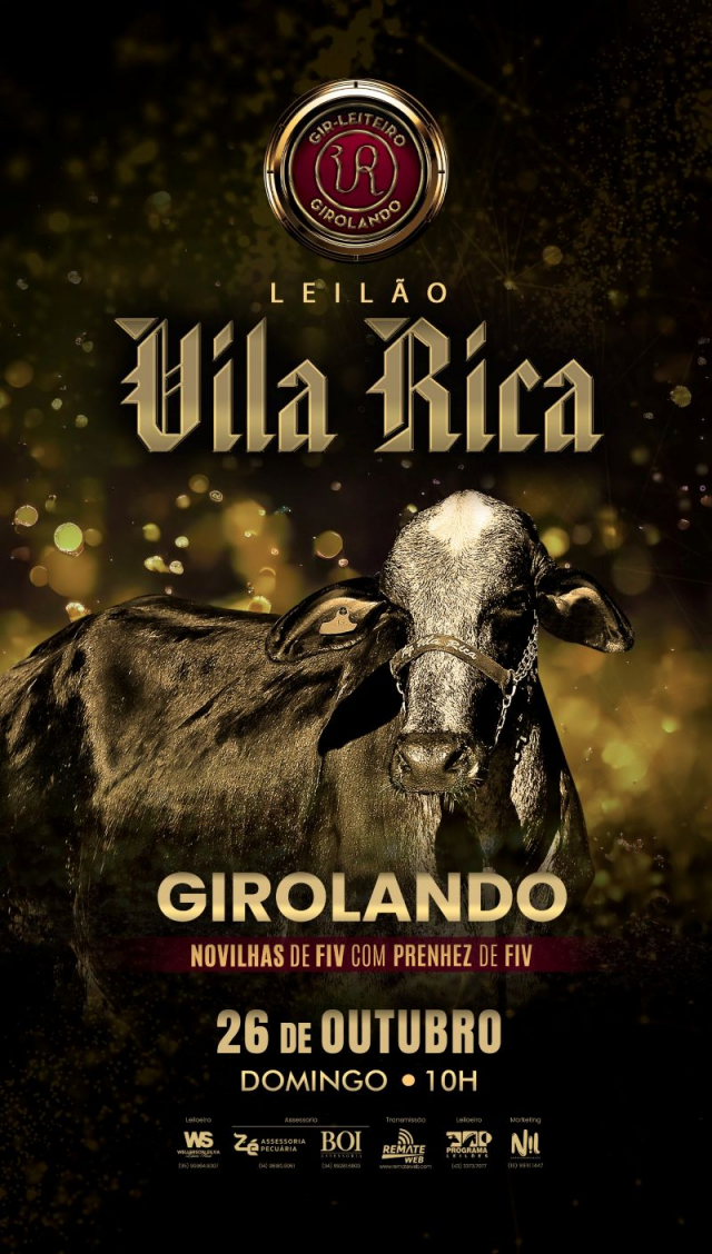 Leilão Virtual Vila Rica Girolando