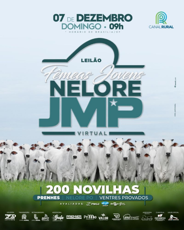 Leilão Virtual Fêmeas Jovens - Nelore JMP