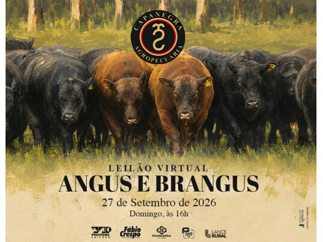 Leilão Virtual Angus e Brangus Capanegra Agropecuária