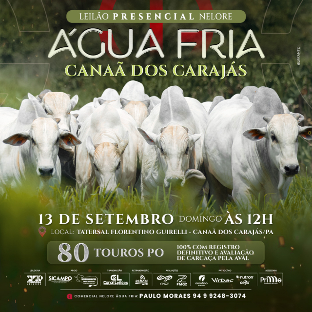 Leilão Touros Água Fria - Canaã dos Carajás