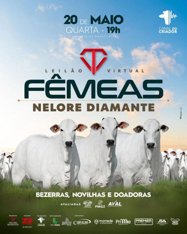 Leilão Virtual Fêmeas Nelore Diamante