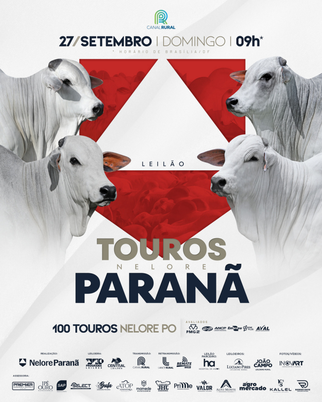 Leilão Touros Nelore Paranã - 100 Touros