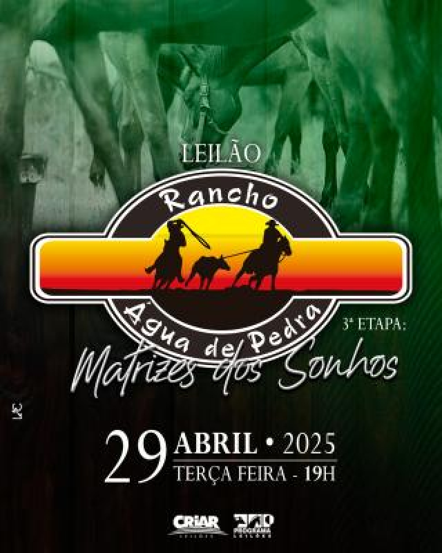 Leilão Rancho Água de Pedra - Matrizes dos Sonhos