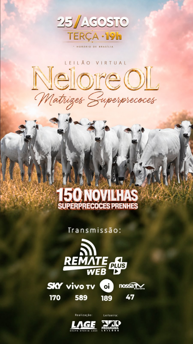 Leilão Virtual Nelore OL - Matrizes Superprecoces