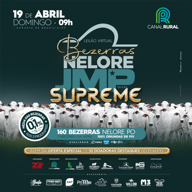 Leilão Virtual Bezerras Nelore JMP - Edição Supreme