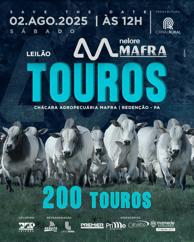 Leilão Touros Nelore Mafra