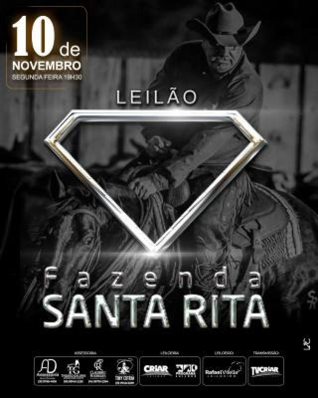 Leilão Virtual Fazenda Santa Rita