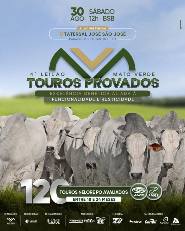 4° Leilão Mato Verde - Touros Provados