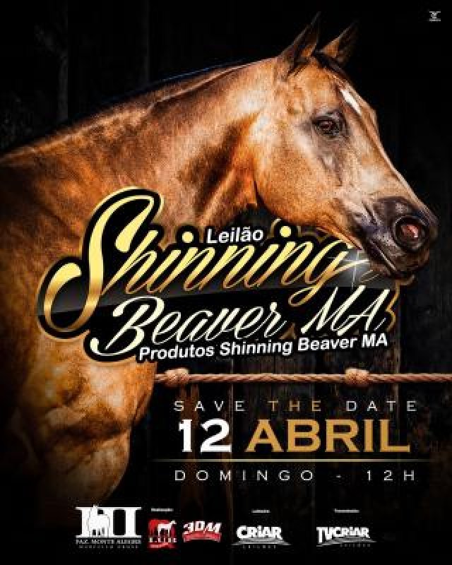 1° Leilão Shinning Beaver MA
