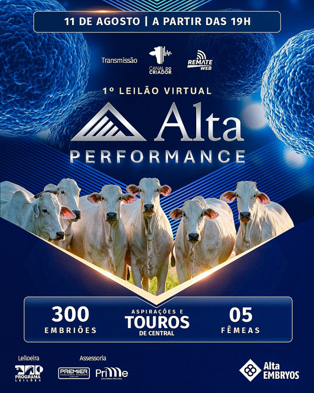 1º Leilão Virtual Alta Performance
