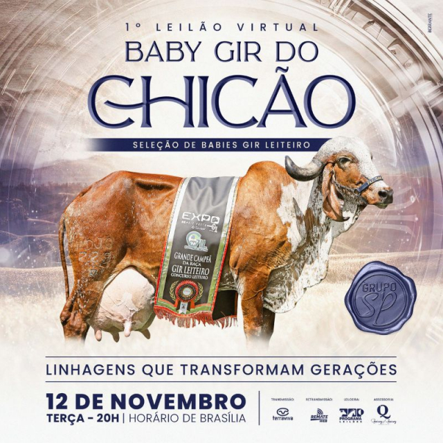 1° Leilão Virtual Baby Gir do Chicão