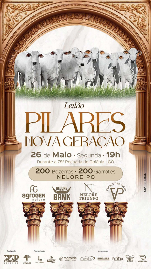 Leilão Pilares Nova Geração