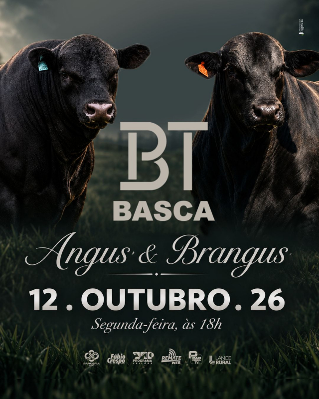 Leilão BT Basca Angus & Brangus