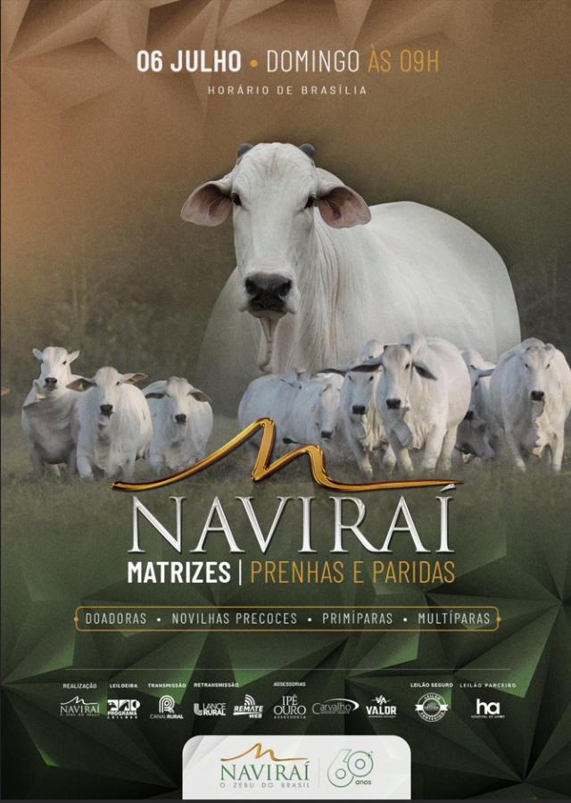 Leilão Virtual Naviraí - Matrizes Prenhas e Paridas
