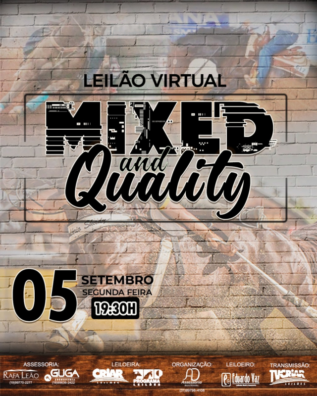Leilão Virtual Mixed and Quality