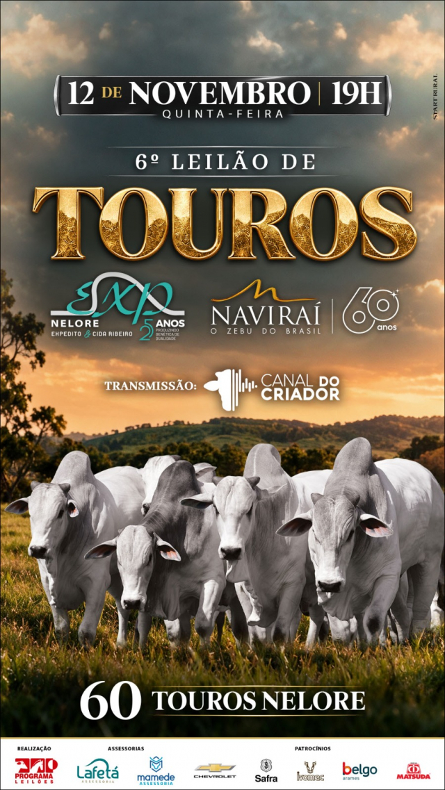 6º Leilão de Touros Expedito & Naviraí