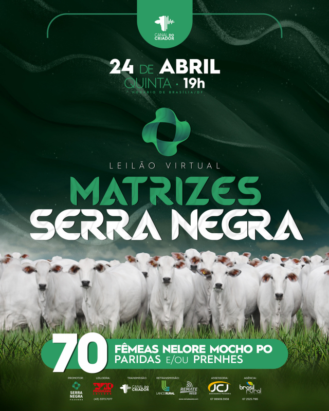 Leilão Virtual Matrizes Serra Negra