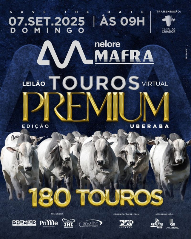 Leilão Virtual Nelore Mafra - Touros Premium - Edição Uberaba