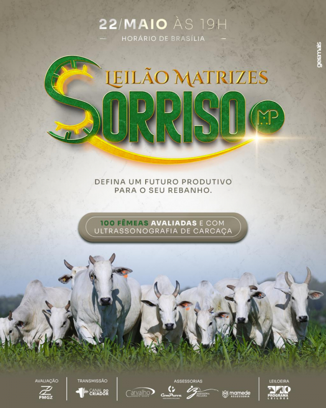 Leilão Virtual Nelore Sorriso